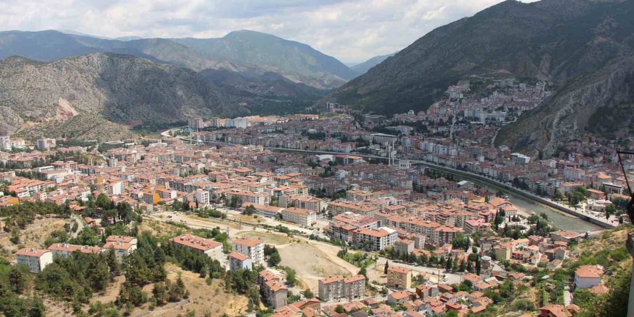 Kahverengi Kokarca Yayılıyor: Amasya’da Da Tespit Edildi