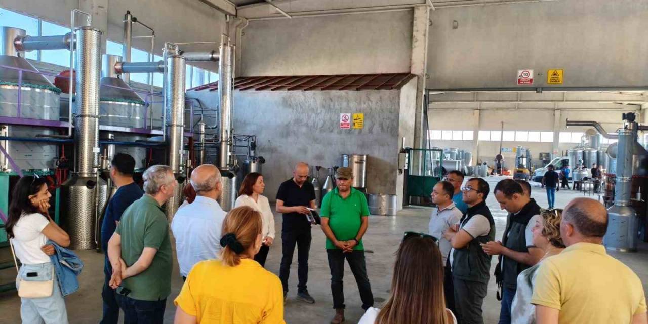 Fao Ve Baka Tıbbi Ve Aromatik Bitkiler Alanında İş Birliği İmkanlarını Görüştü