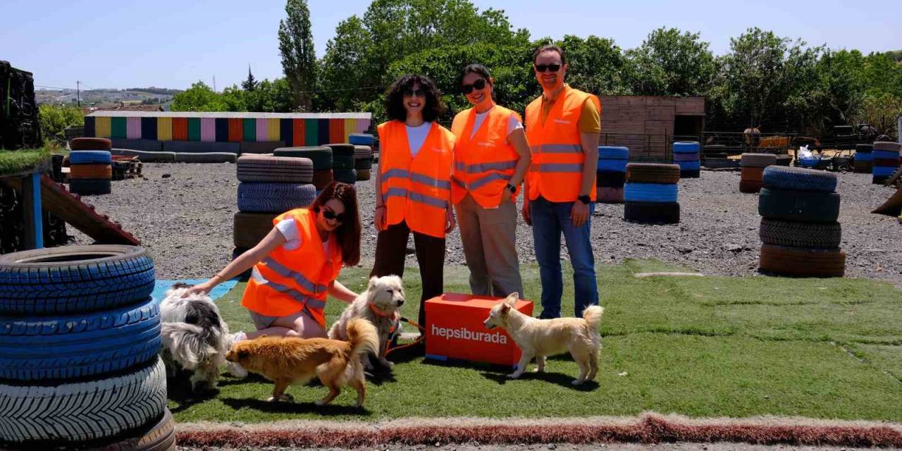 Fıba 2025 Avrupa Şampiyonalarında Her Sayı Mamaya Dönüşüyor