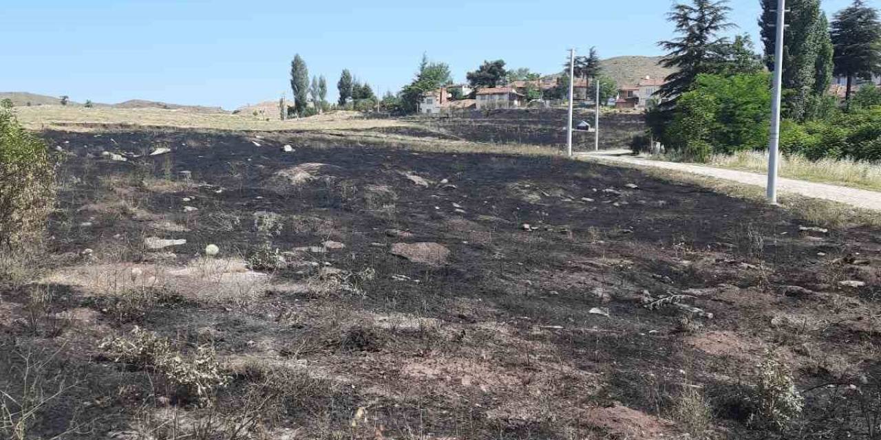 Torpilden Çıkan Yangında 15 Dönümlük Arazi Kül Oldu