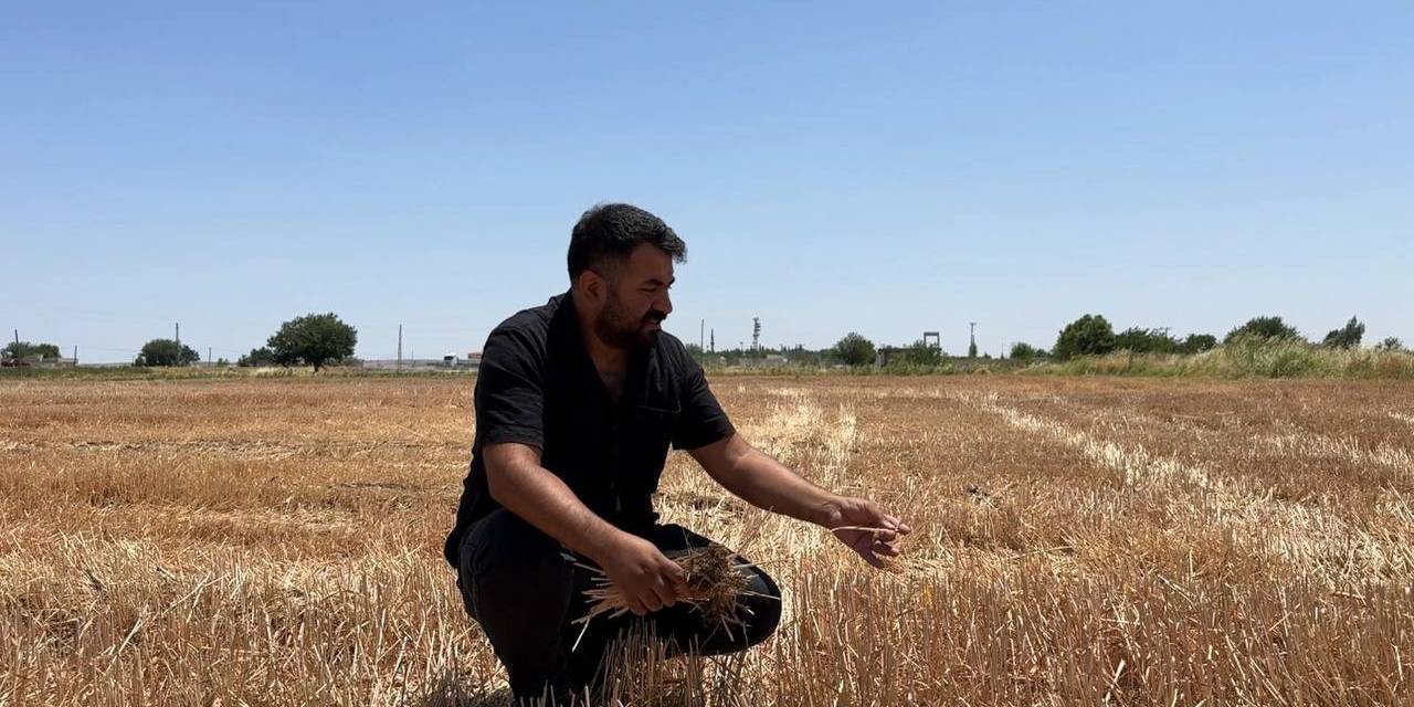 Uzmanlar Ve Çiftçiler Anız Yakmanın Zararlarına Dikkat Çekti