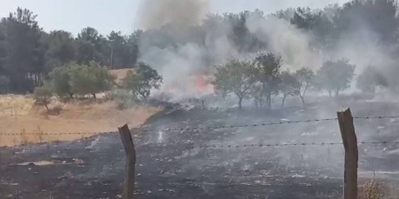 Ormanlık Alanda Çıkan Yangın Korkuttu