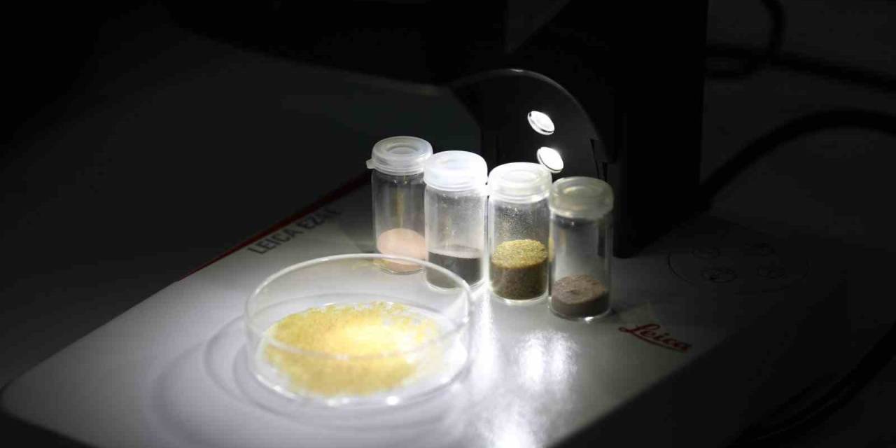 Btü’nün Projesi Hayvansal Kaynaklara Alternatif Kaynak Olacak