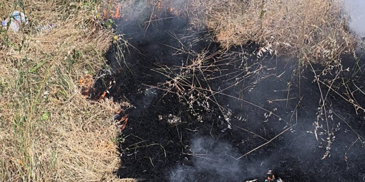 Temizlik Amaçlı Yakılan Otlar Kontrolden Çıktı