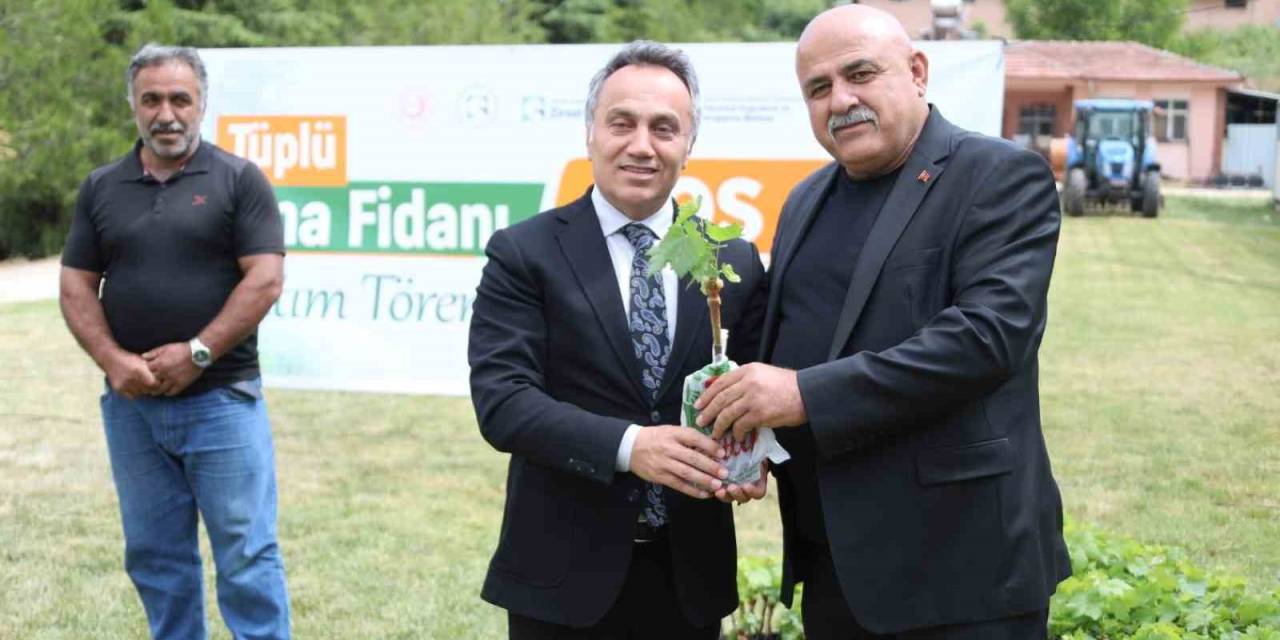 Togü Tüplü Asma Fidanlarını Üreticiyle Buluşturdu