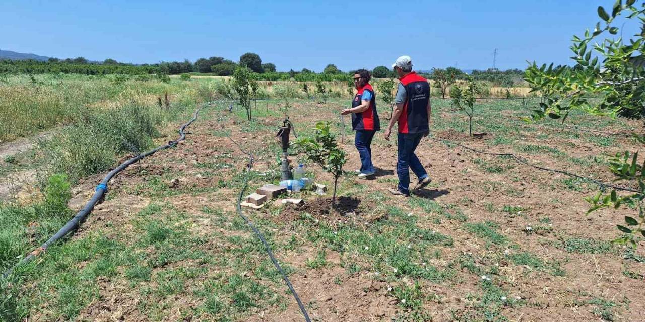 Çanakkale’de Tarımsal Sulama Elektrik Aboneliği Olan Tarım Arazileri Denetleniyor