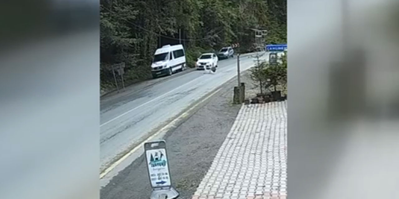 Rize'de yamaçtan kopan kaya parçasının otomobilin önüne düşme anı güvenlik kamerasında