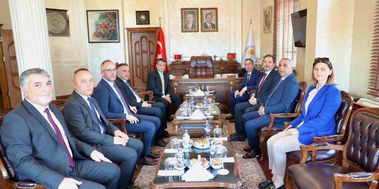 Kahverengi Kokarcaya Karşı 173 Mahallede Seferberlik