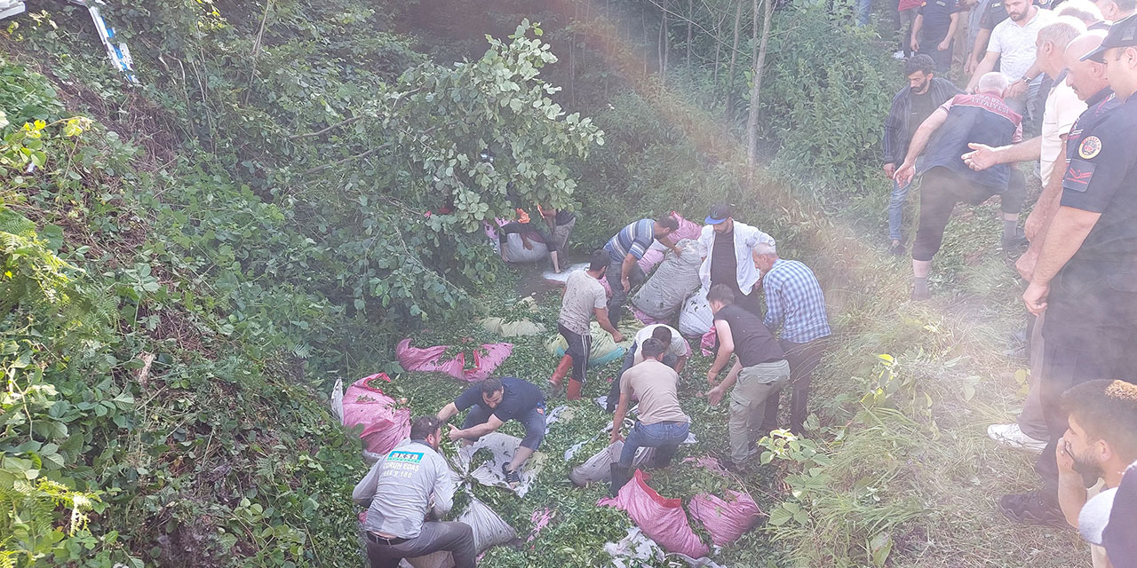 Çay yüklü kamyonet devrildi: 8 yaralı