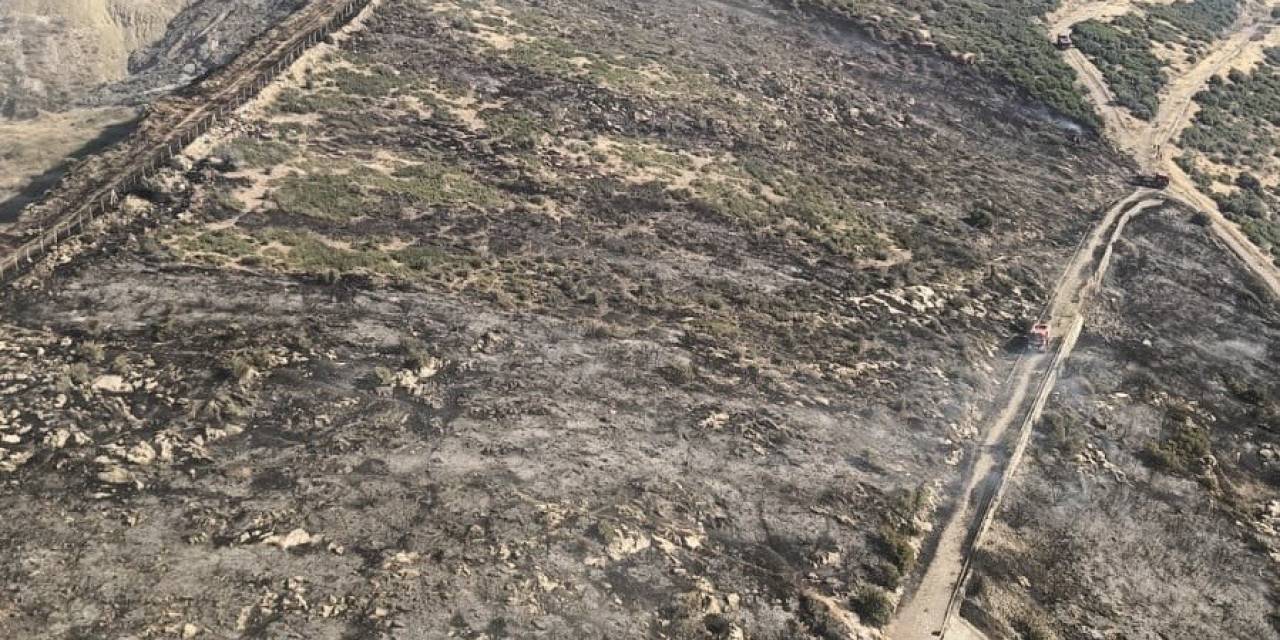 İzmir’de Makilik Alandaki Yangın Kontrol Altında
