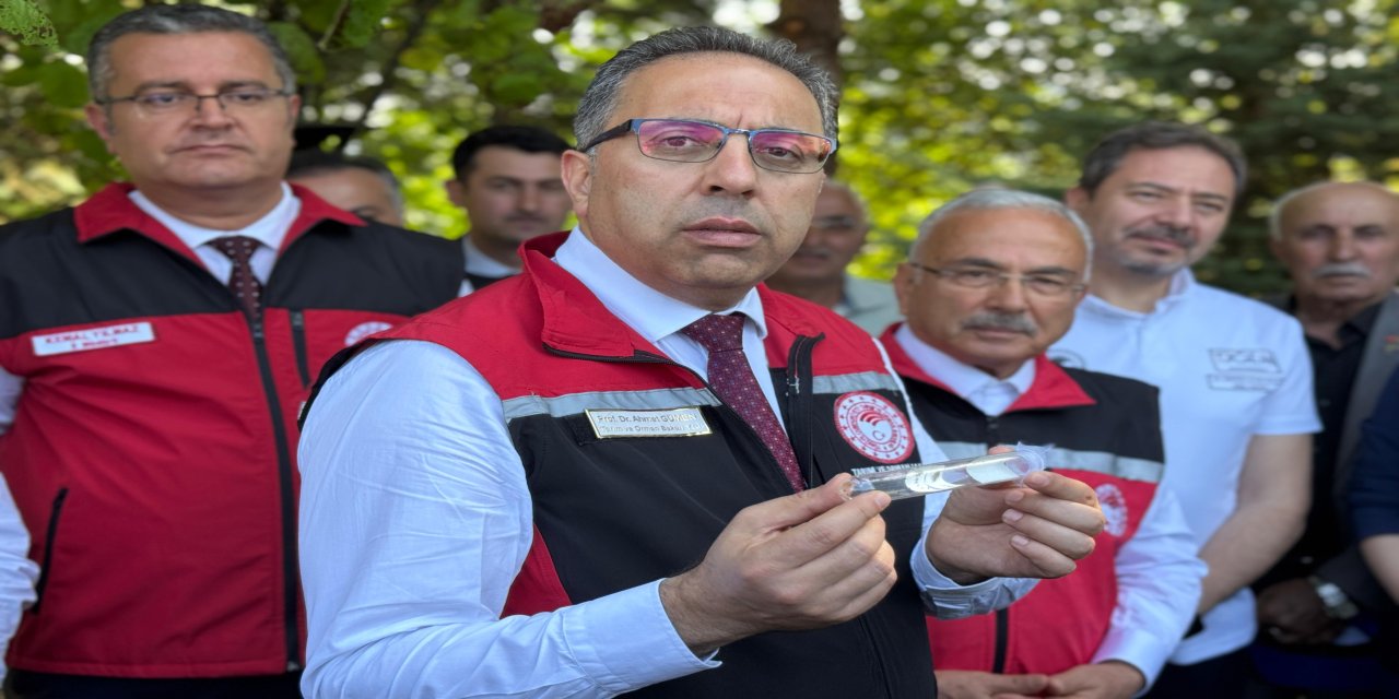 Ordu'da kahverengi kokarca ile mücadele kapsamında doğaya 245 bin 'samuray arısı' salınacak