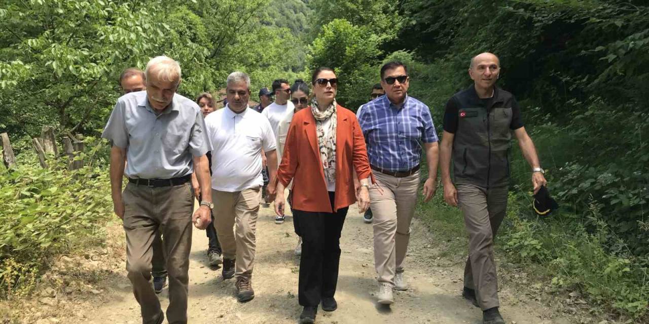 Tesadüfen Bulundu, Bir İli Heyecan Sardı