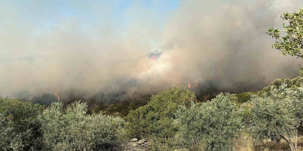 Söke’de Zirai Alan Yangını