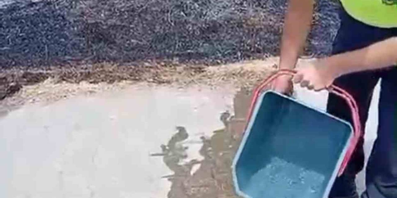 Yanan Otların Arasından Kurtardığı Kaplumbağayı Suyla Serinletti