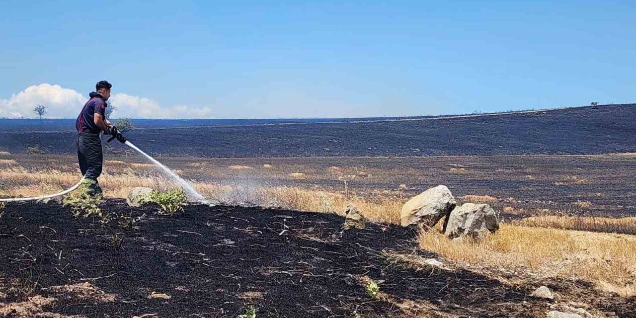 10 Bin Dönümlük Arazi Alevlere Teslim Oldu