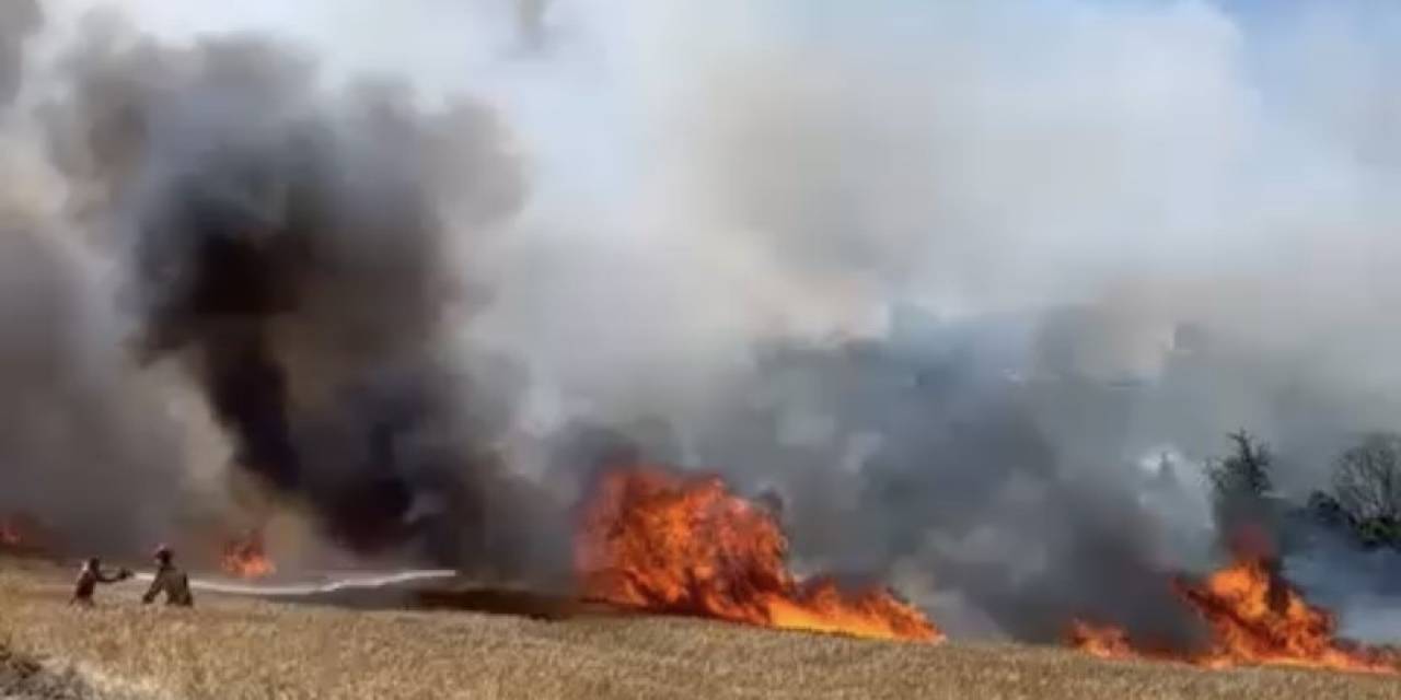 Çanakkale’de Tarım Arazisinde Yangın Çıktı