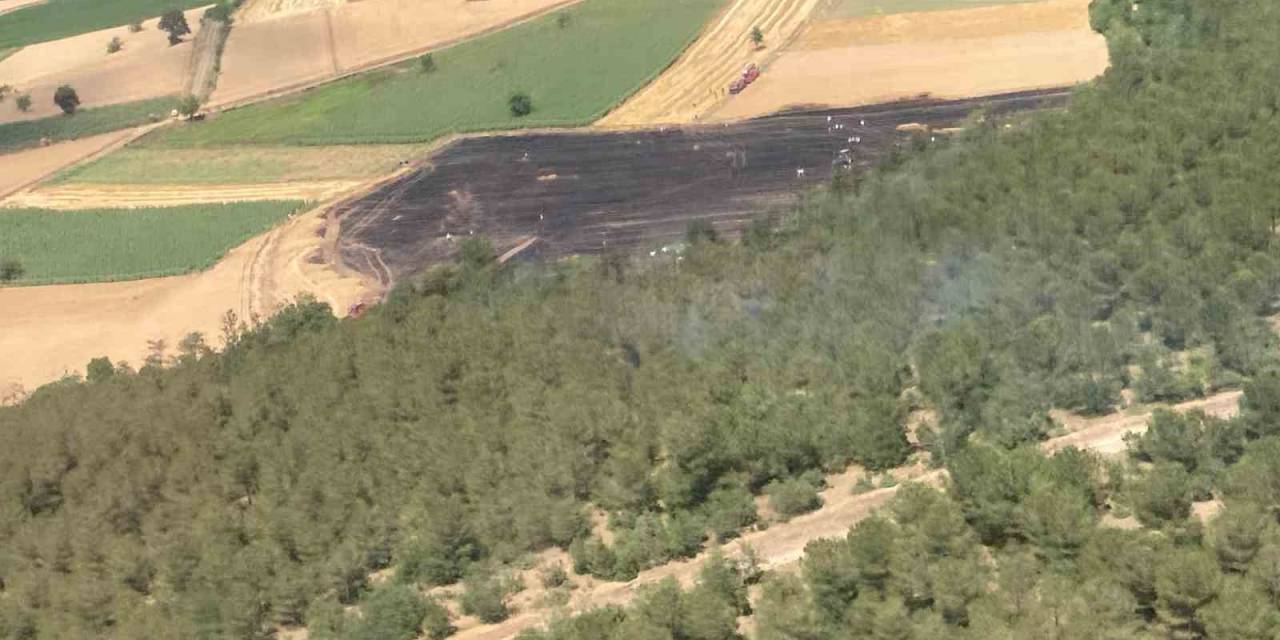 30 Dönümlük Buğday Tarlası Küle Döndü