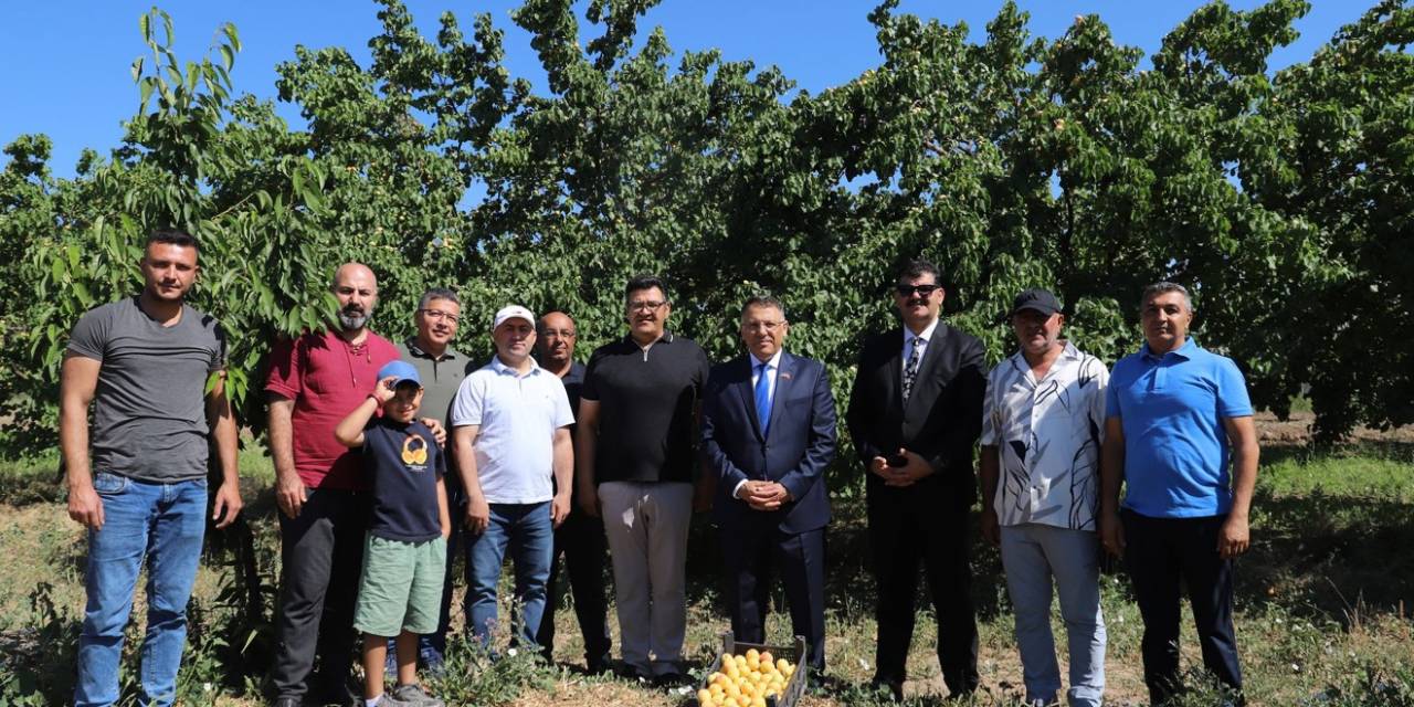 Iğdır Üniversitesi Uygulama Bahçesinde "Kayısı Hasadı Etkinliği" Düzenlendi