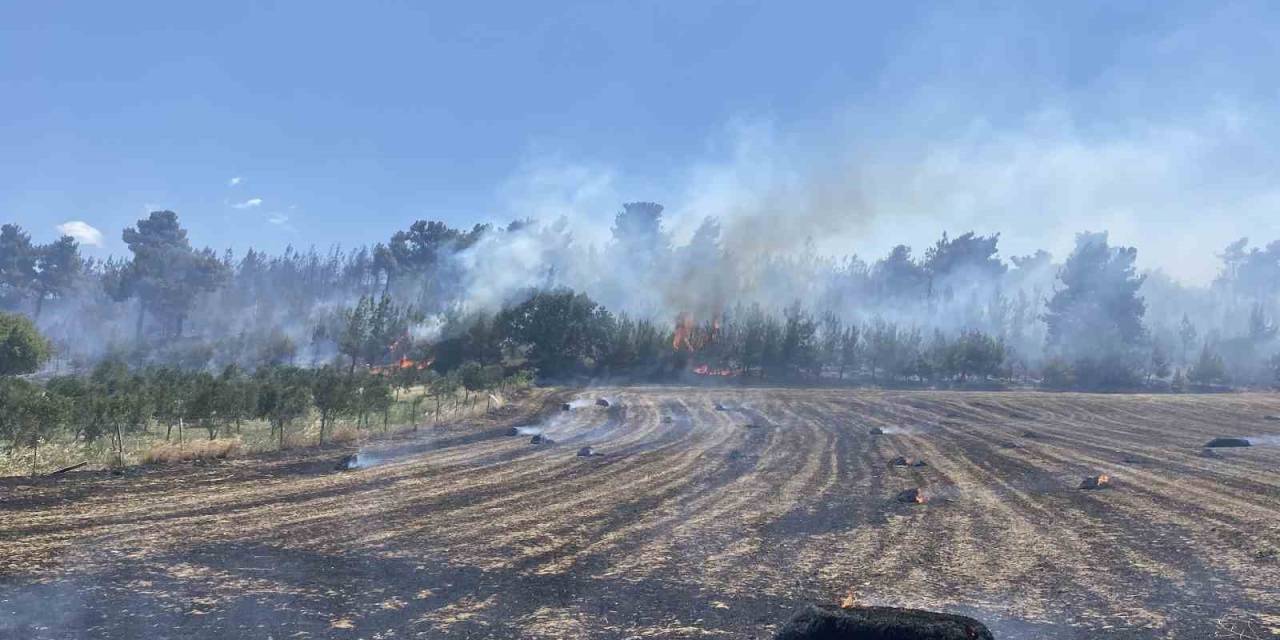 Çanakkale’deki Orman Yangını Kontrol Altına Alındı