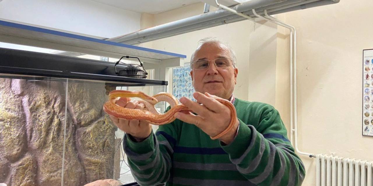 Yılan Müzesi, 185 Sürüngen Türüyle Eğitim Ve Araştırma Merkezine Dönüştü