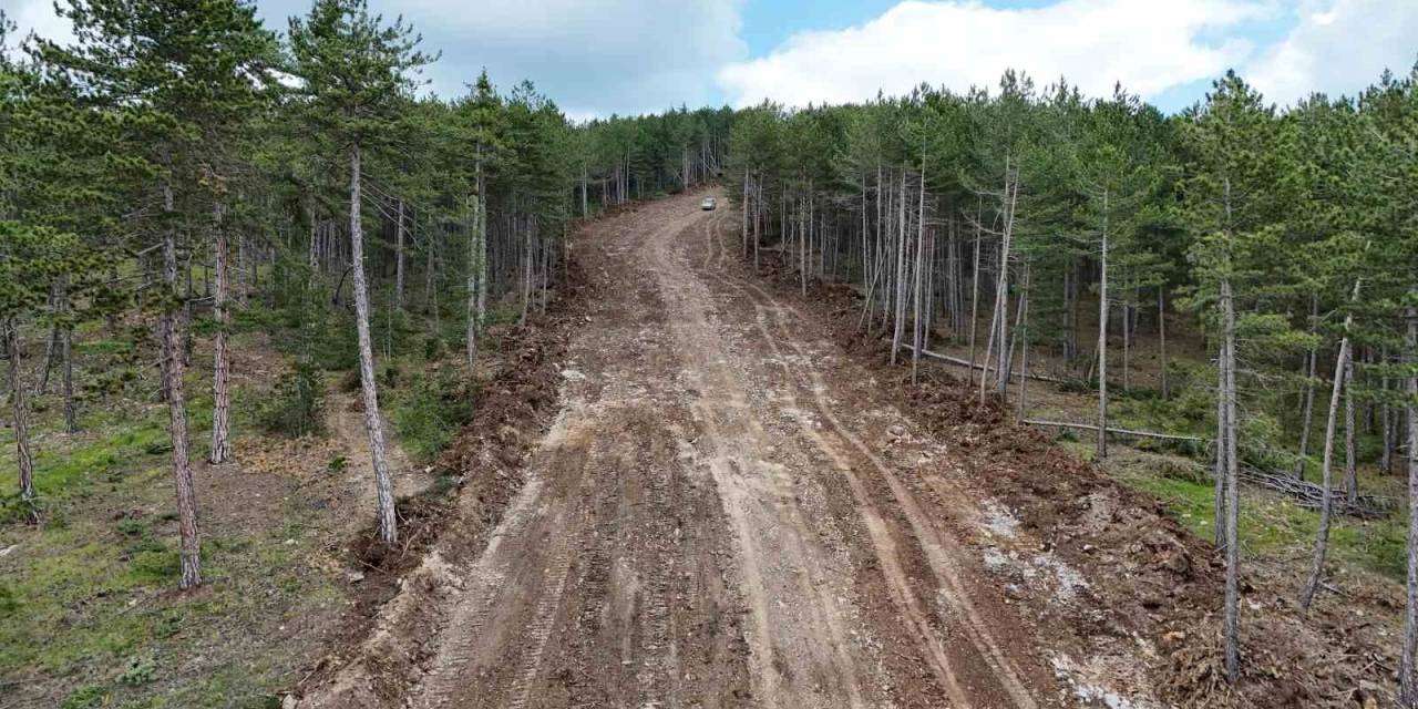Kastamonu’da Ormanları Yangınlardan Korumak İçin Emniyet Yolu Çalışmaları Sürüyor
