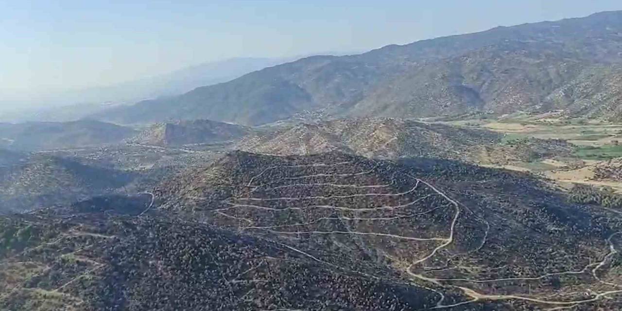 Aydın’daki Yangın Kontrol Altına Alındı