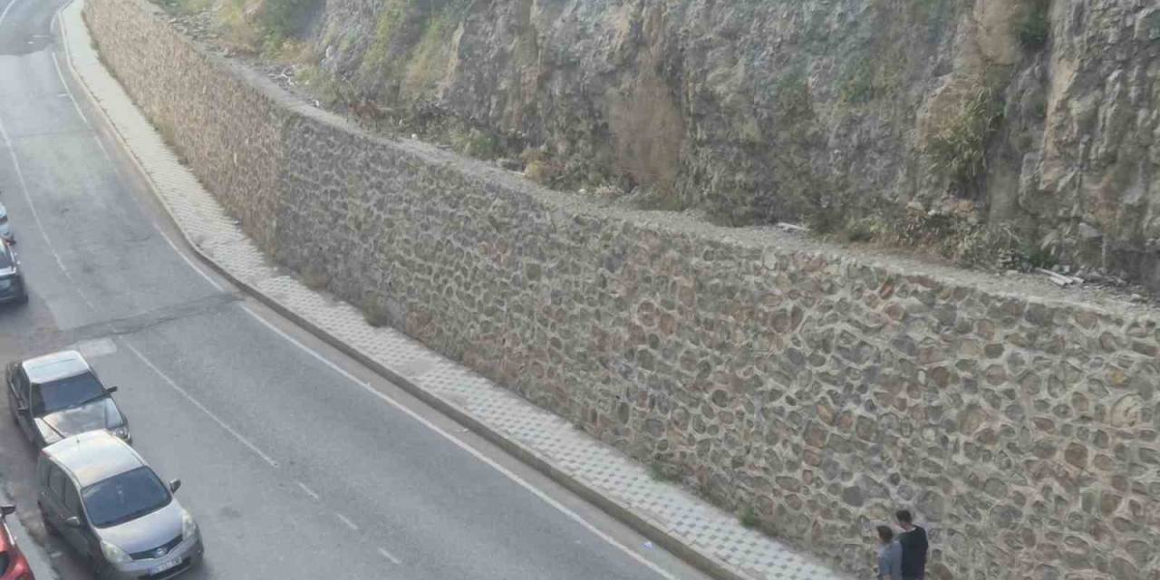 Gümüşhane Dağlarının Süsü Yaban Keçileri Şehrin De Süsü Oldu