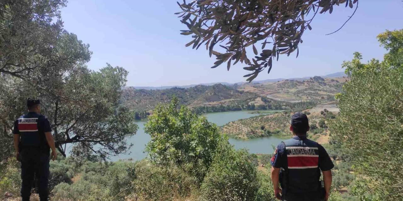 Aydın’da Orman Yangınlarına Karşı Sıkı Tedbir