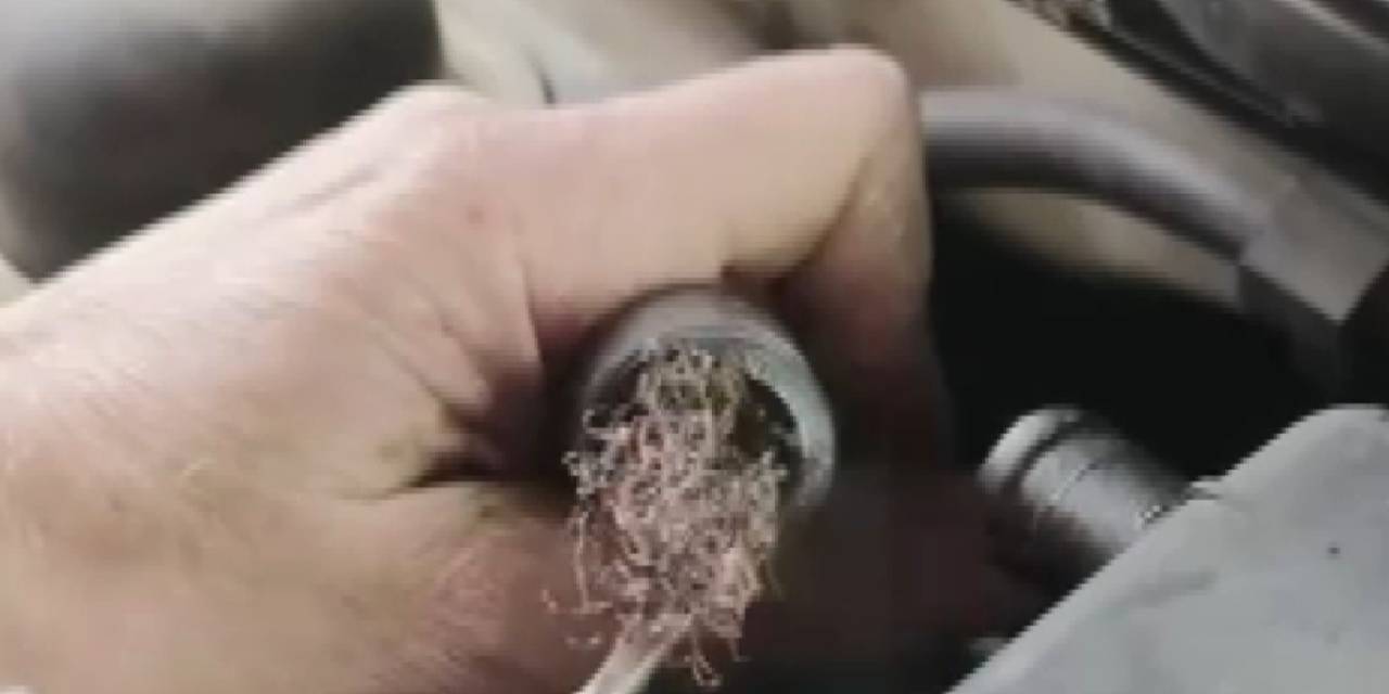 Pes Dedirten Görüntü: Otomobilin Motorundan Bulaşık Teli Çıktı