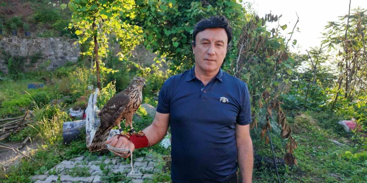 Asırlık Atmaca Geleneği Artvin’de Yaşatılıyor