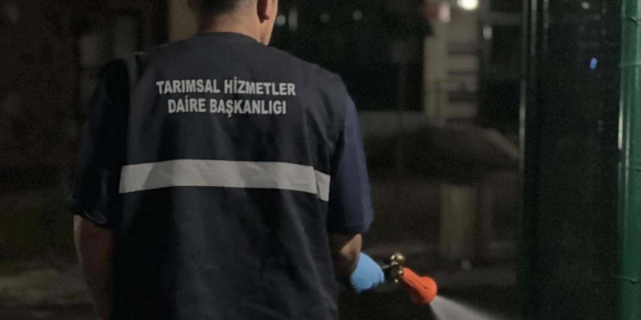 Büyükşehir’den İlaçlama Atağı