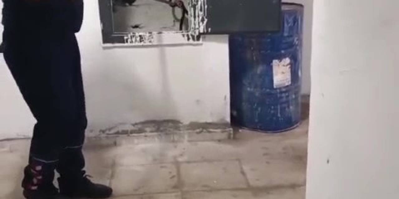 Kazan Dairesinde Yılan Paniği