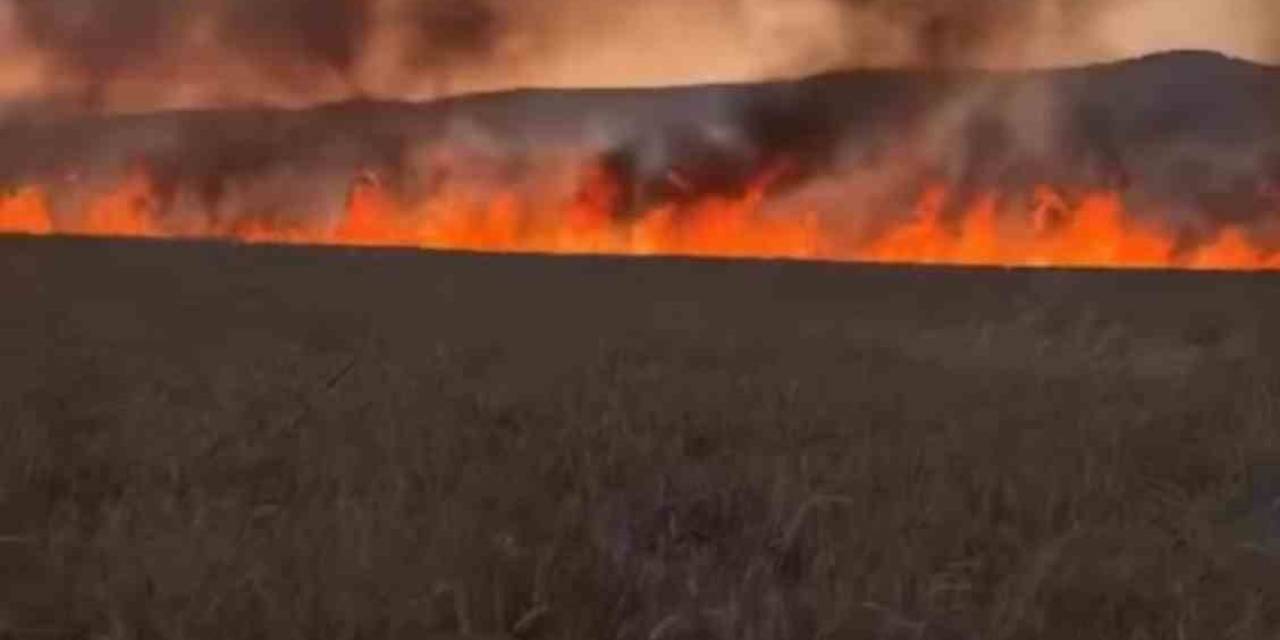 Diyarbakır’da Buğday Tarlasında Anız Yangını