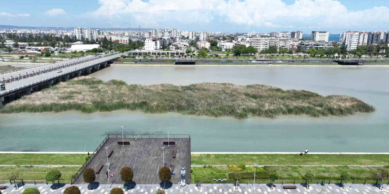 Boğaçayı’nda 220 Kuş Türü Gözlemlendi