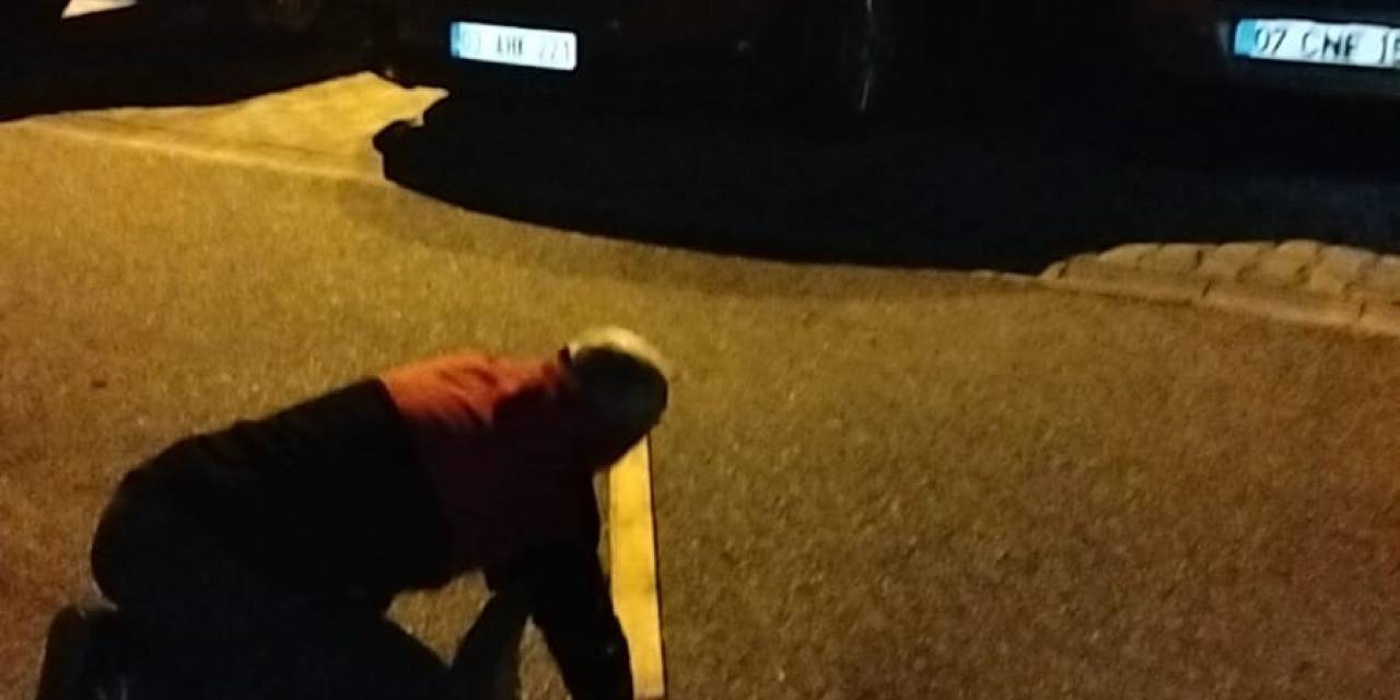 Araçların İçerisine Giren Fareler Vatandaşları Alarma Geçirdi