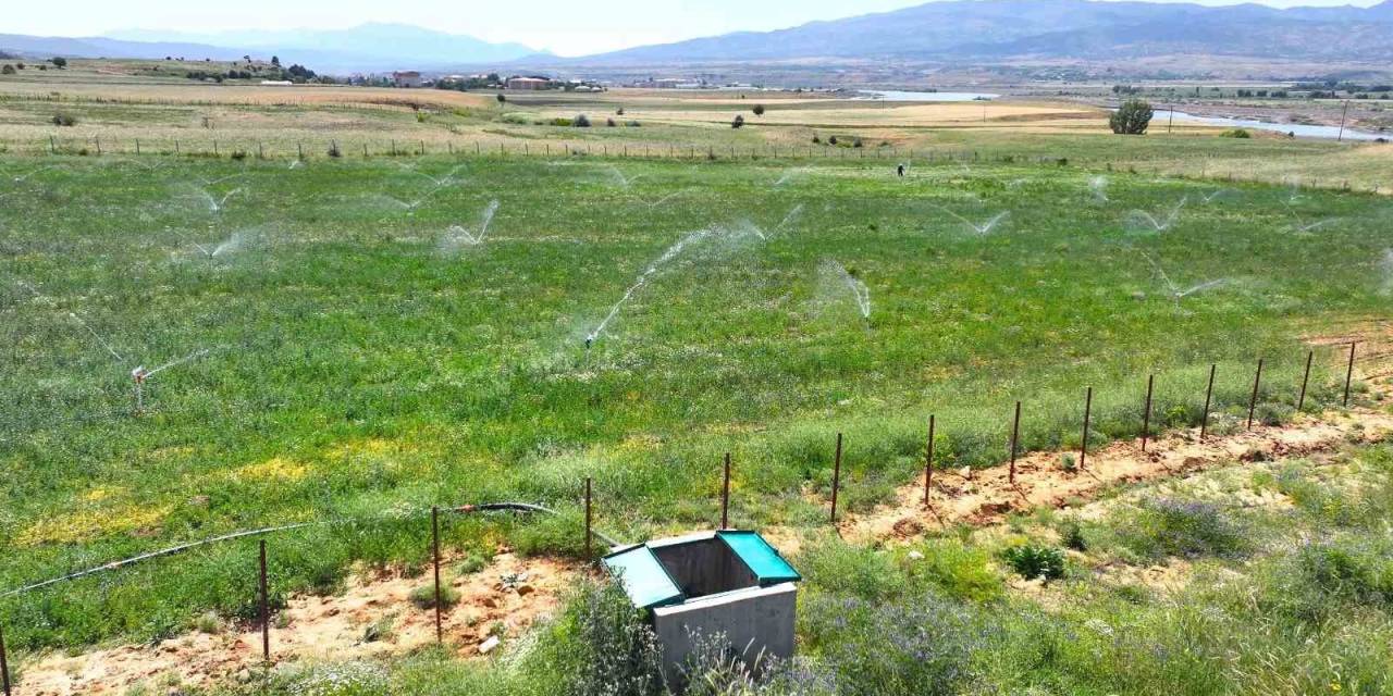 Bingöl’de 182 Bin Dekar Alan Sulanacak