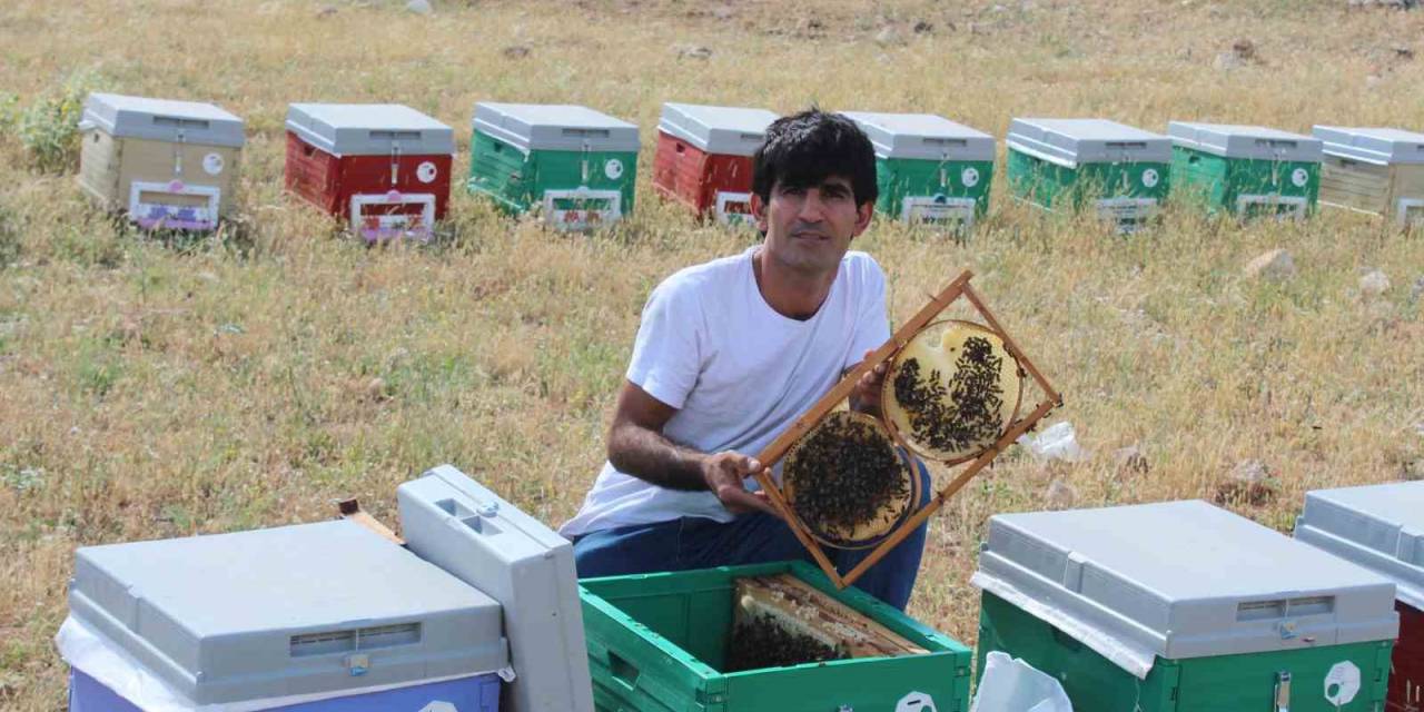 Siirtli Arıcının Arılarla Kurduğu Bağ Görenleri Şaşırtıyor