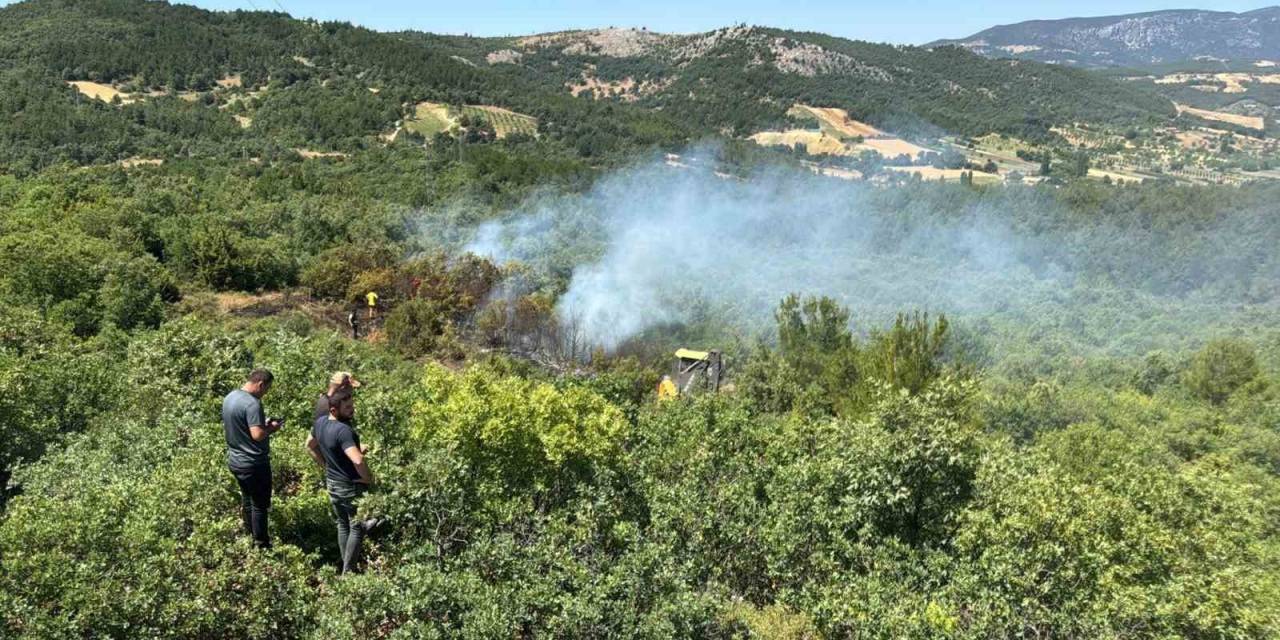 Enerji Nakil Hattından Çıkan Orman Yangını Kontrol Altına Alındı