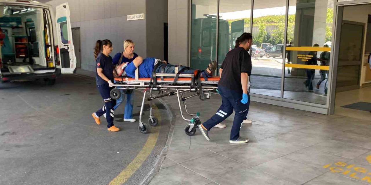 Otomobil Ağaca Çarptı, Yaşlı Çift Yaralandı