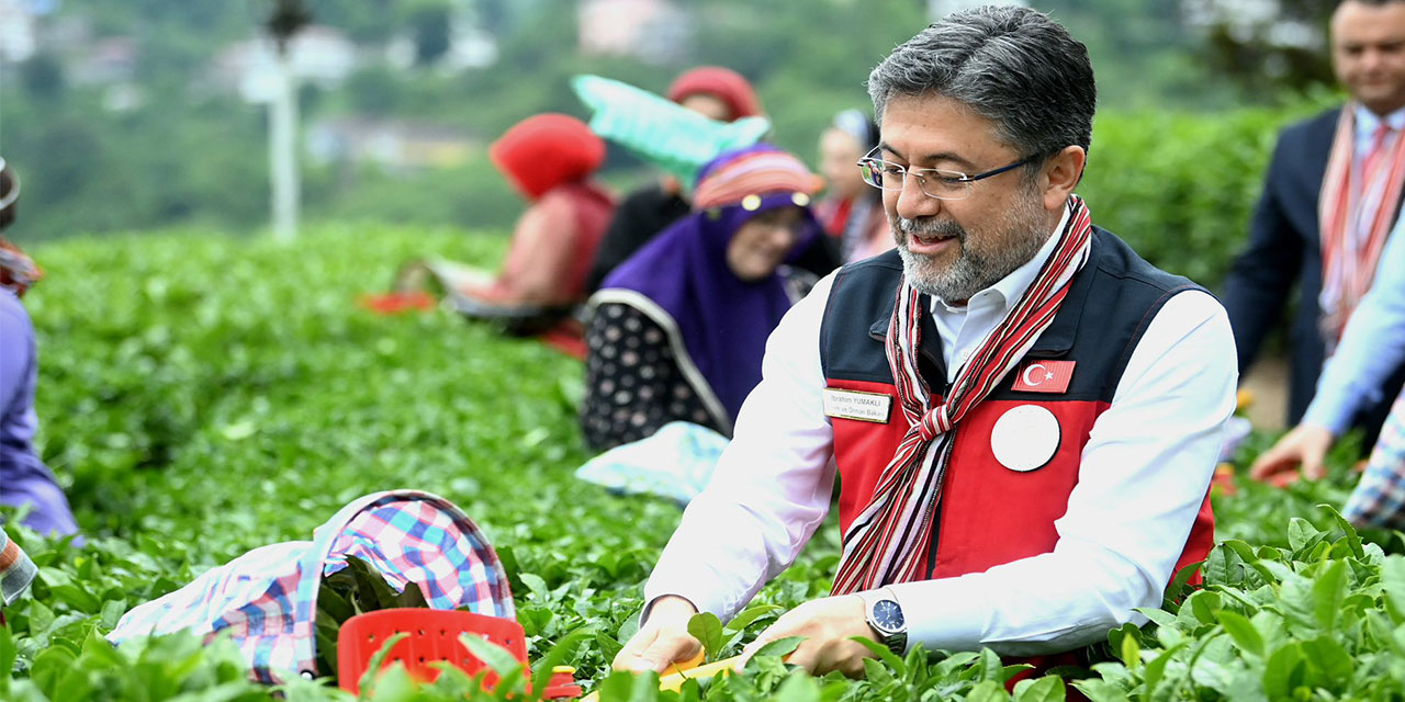 Bakan Yumaklı: Çay budama tazminat desteğini bugün çiftçilerin hesaplarına aktarıyoruz