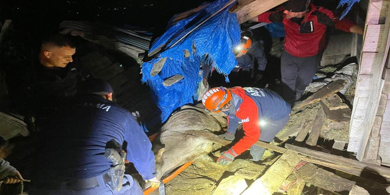 Artvin'de çöken ahırda mahsur kalan 33 büyükbaş hayvan kurtarıldı
