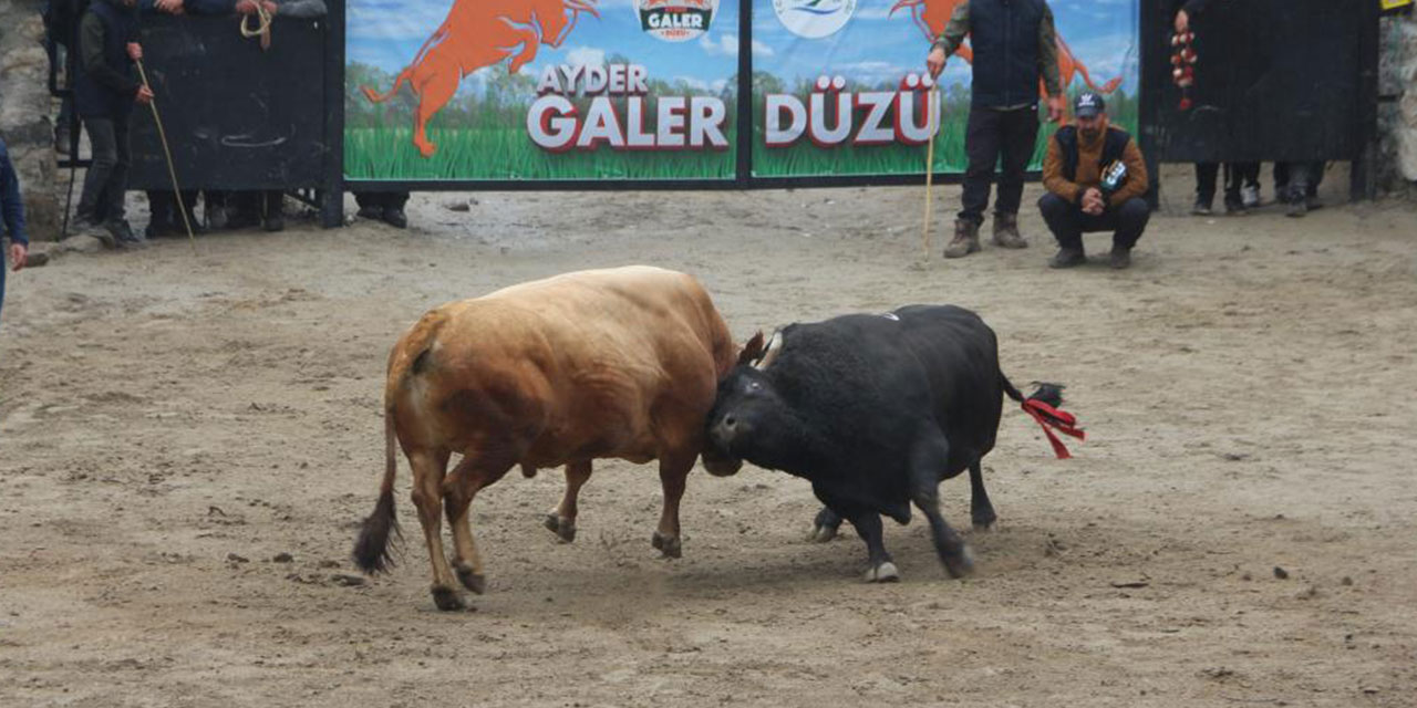 Rize'de "30. Çamlıhemşin Ayder Kültür, Sanat ve Doğa Festivali" başladı