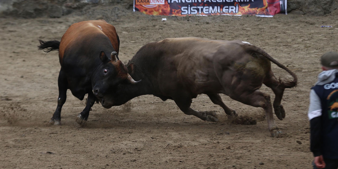 Rize'de "29. Çamlıhemşin Ayder Kültür, Sanat ve Doğa Festivali" sona erdi