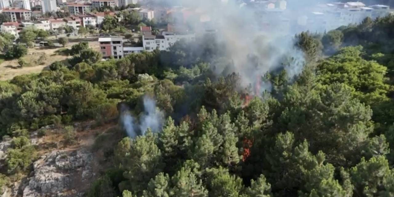 Pendik’te Ormanlık Alanda Çıkan Yangın Söndürüldü