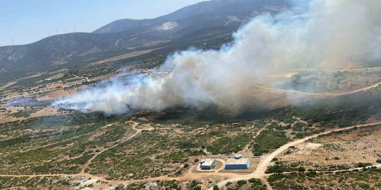 Aydın’da Son 48 Saatte 93 Yangın Çıktı, Ateş Savaşçıları Zamanla Yarıştı