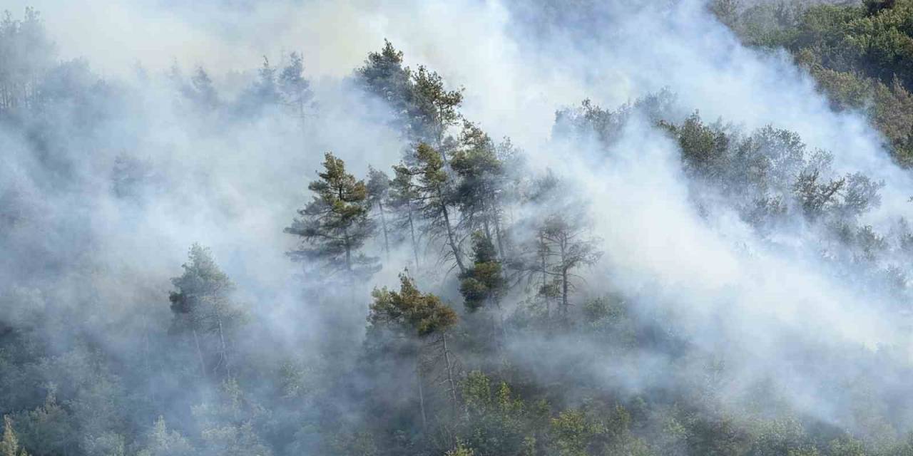 Sakarya’da Ormanda Yeniden Yükselen Alevlere Havadan Ve Karadan Müdahale Edildi