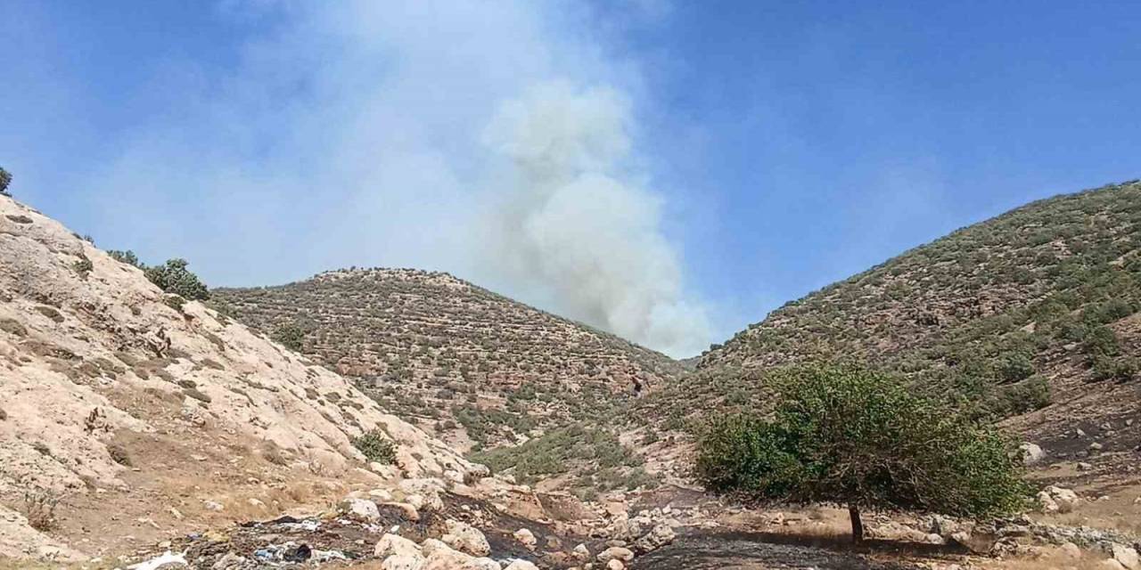 Mardin’de Orman Yangını