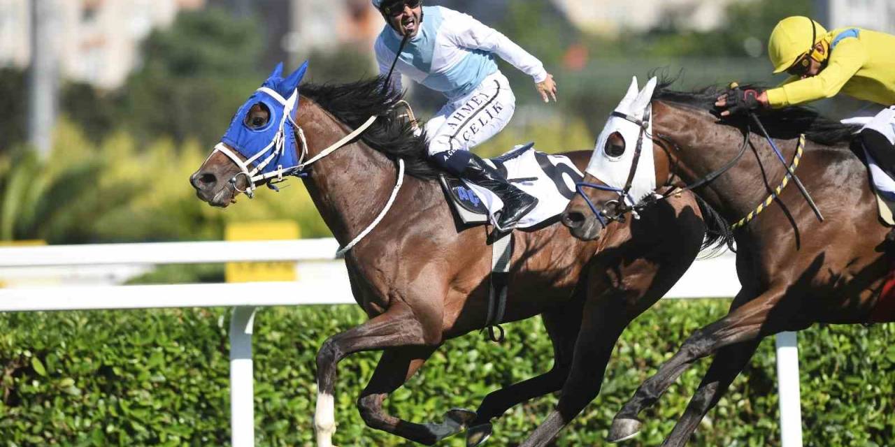 99. Gazi Koşusu’nu Cutha Kazandı