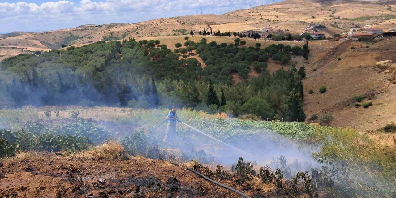 Balıkesir’in Altıeylül İlçesinde 2 Arazi Yangını