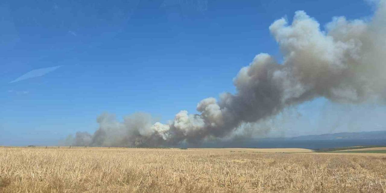 Çanakkale’de Yangında Yaklaşık 100 Dönümlük Alan Zarar Gördü